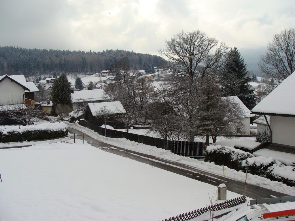 Drei Tannen Hotel Bodenmais Kültér fotó