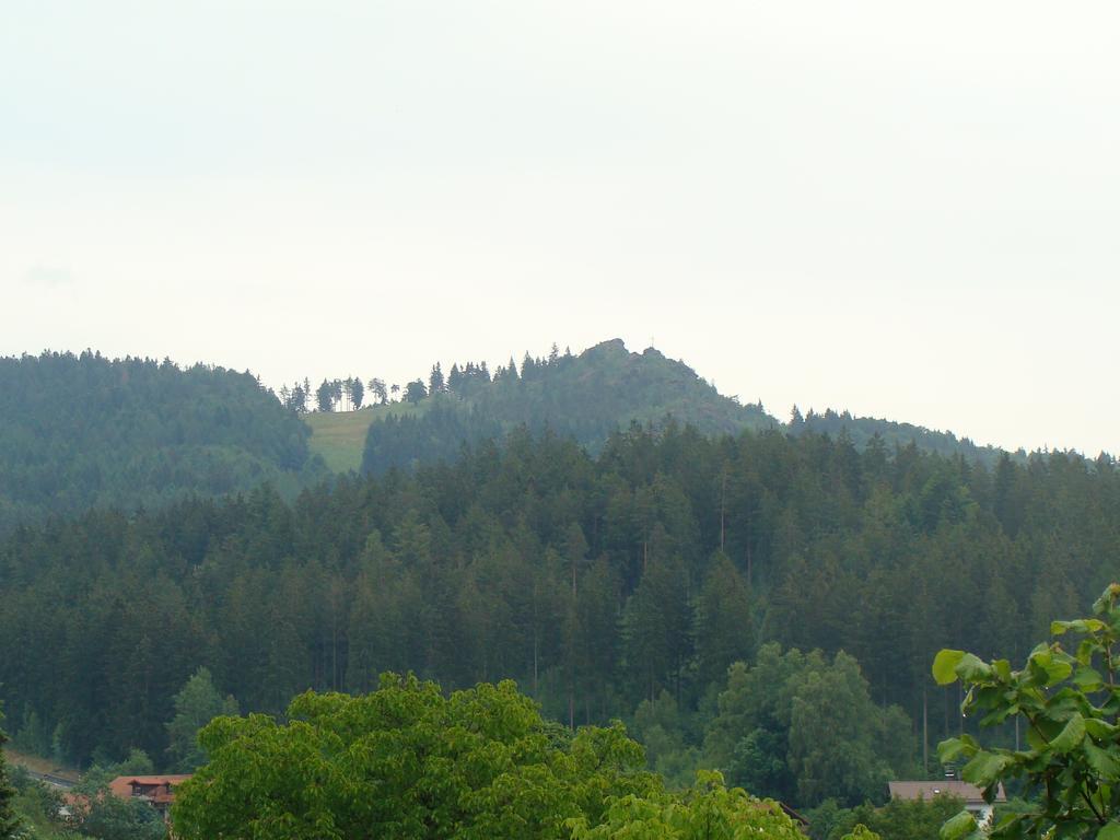 Drei Tannen Hotel Bodenmais Kültér fotó
