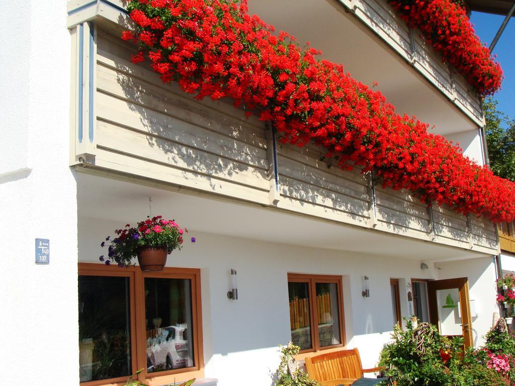 Drei Tannen Hotel Bodenmais Kültér fotó