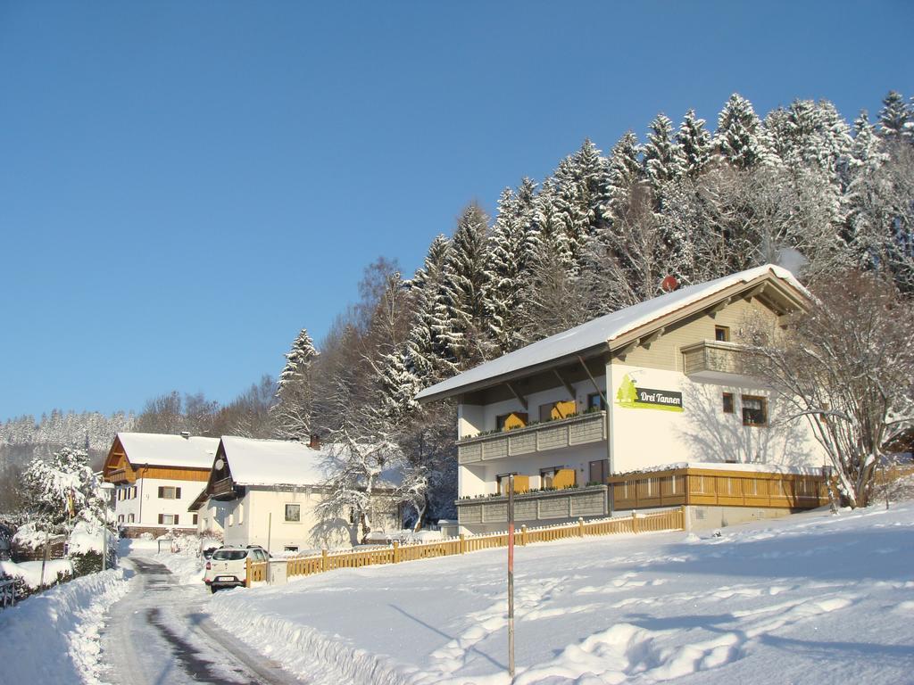 Drei Tannen Hotel Bodenmais Kültér fotó
